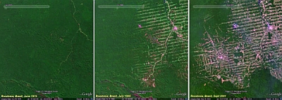 Спутниковые фотографии леса в бразильском штате Рондония. Слева направо: 1975, 1989, 2001 годы.